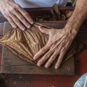 Hand-Rolled Cuban Cigars