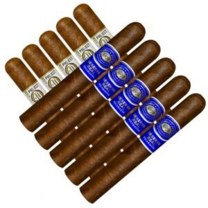 Double Stack Alec Project 40 vs Romeo Real Nica