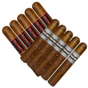 Double Stack Cohiba Nica Vs Camacho Nica
