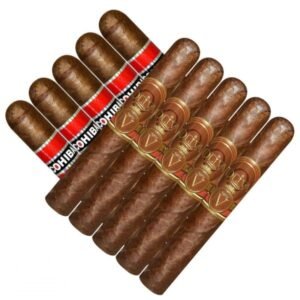 Double Stack Cohiba vs Oliva V Robusto