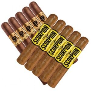 Double Stack Camacho Scorpion Vs Hoyo