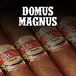 Casa Magna Domus Magnus