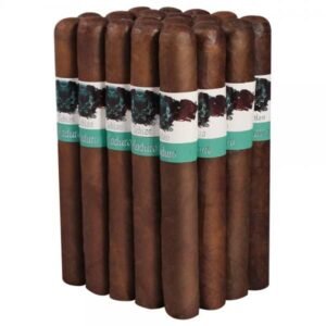 Schizo-50X6-Maduro-Bdl-Of-20-1-300X300