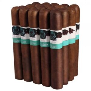 Schizo-60X6-Maduro-Bdl-Of-20-1-300X300
