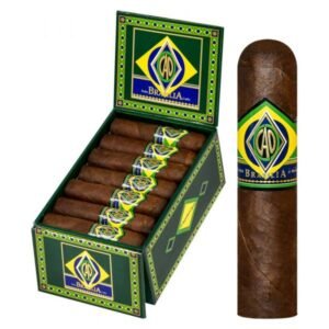 CAO Brazilia Corcovado