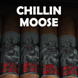 Chillin Moose