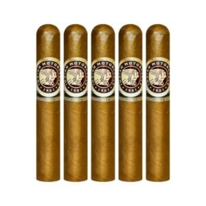 Indian Motorcycle Shade Robusto