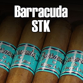 Barracuda STK by George Rico