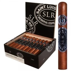 Saint Luis Rey Toro