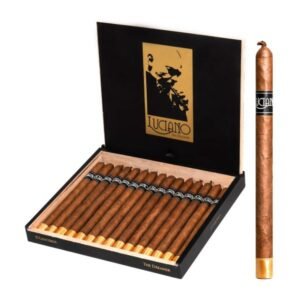 Luciano The Dreamer Lancero