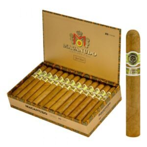 Macanudo Gold Label Tudor