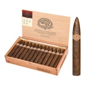 Padron 6000 (torpedo)