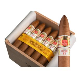 Hoyo-De-Monterrey-Epicure-No.3-N-25-300X300